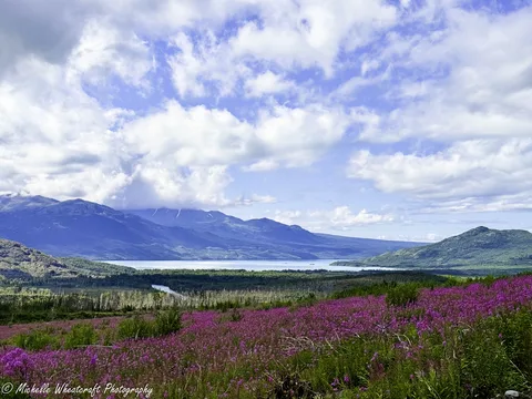 A photograph from 2025 Alaska by Michelle Wheatcraft