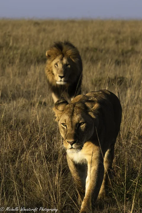 A photograph from Kenya 2024 by Michelle Wheatcraft